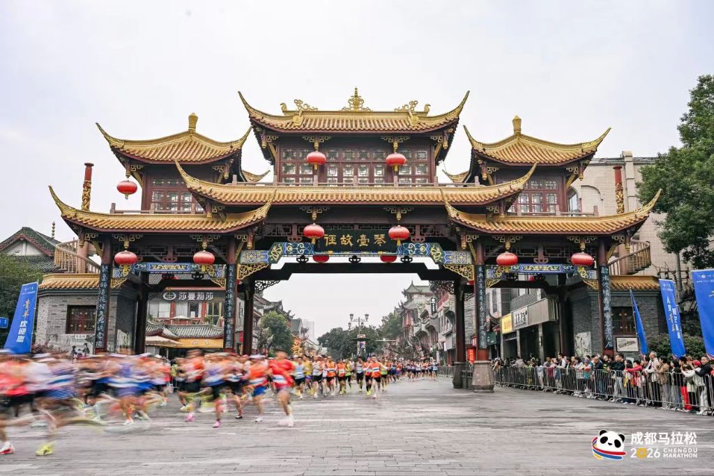 1xBET展示图片