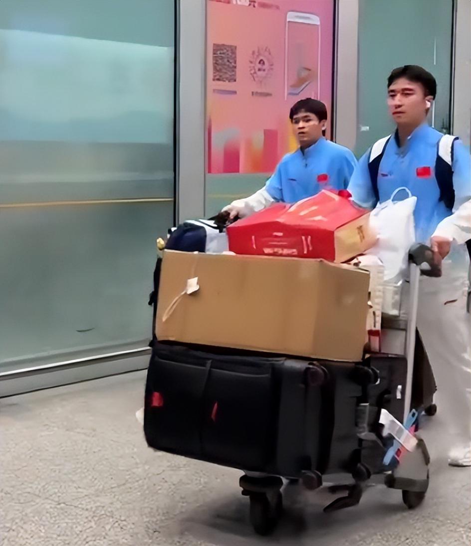 1xBET如暗夜的紫藤花瞬间绽放相关图片