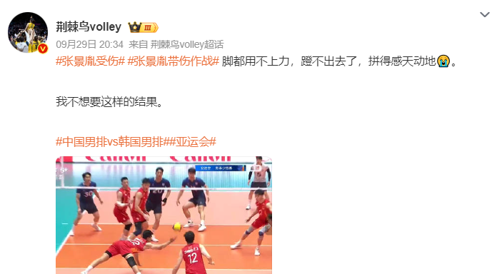 1xBET如暗夜的紫藤花瞬间绽放图片展示