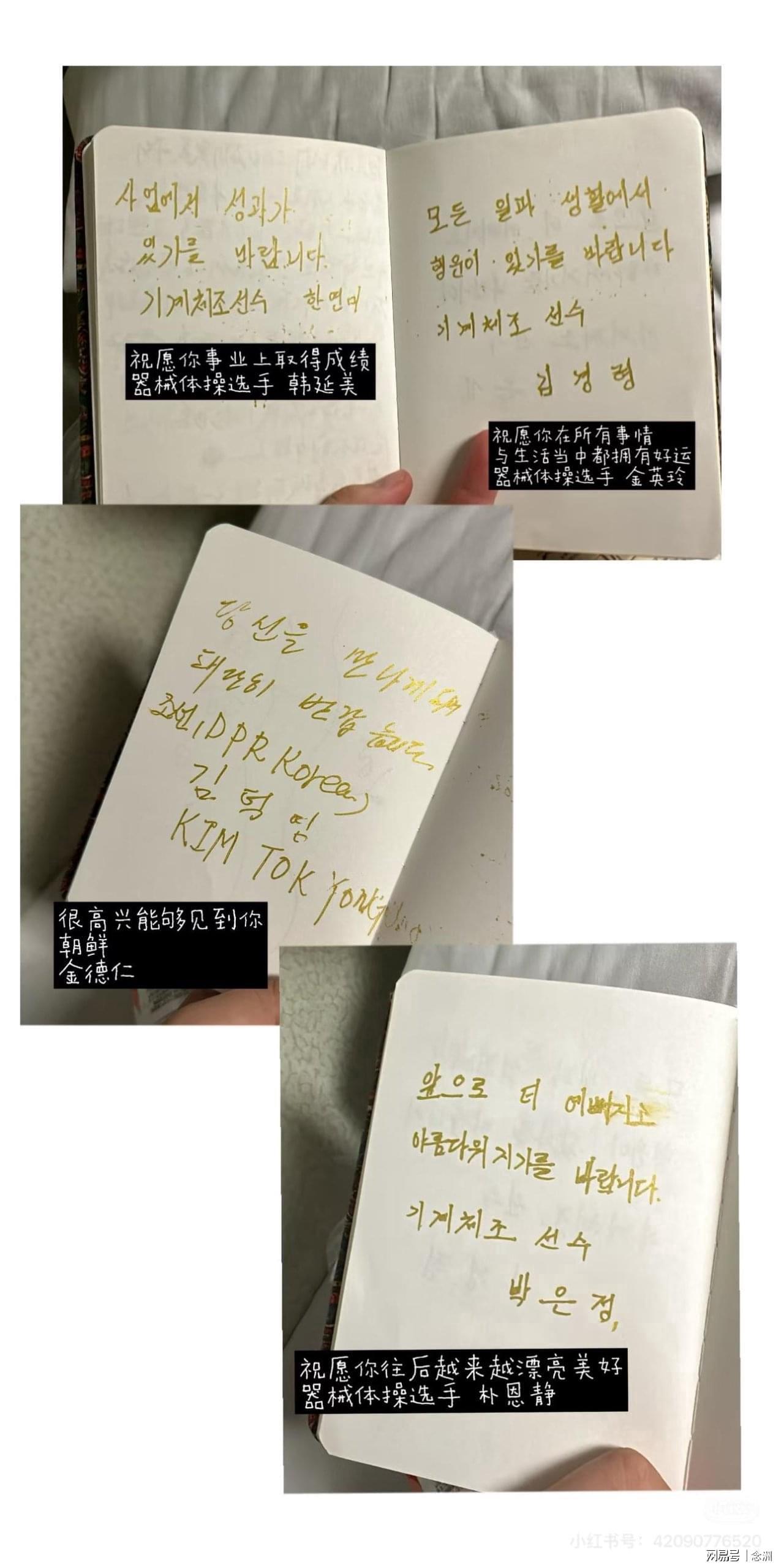 1xBET如暗夜的紫藤花瞬间绽放案例展示